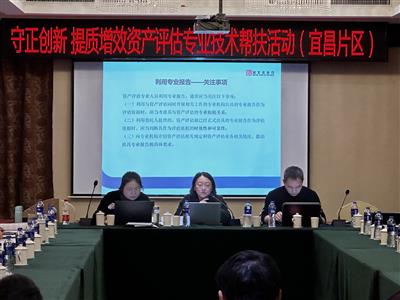 湖北永信行应邀参加“守正创新 提质增效”资产评估专业技术帮扶活动